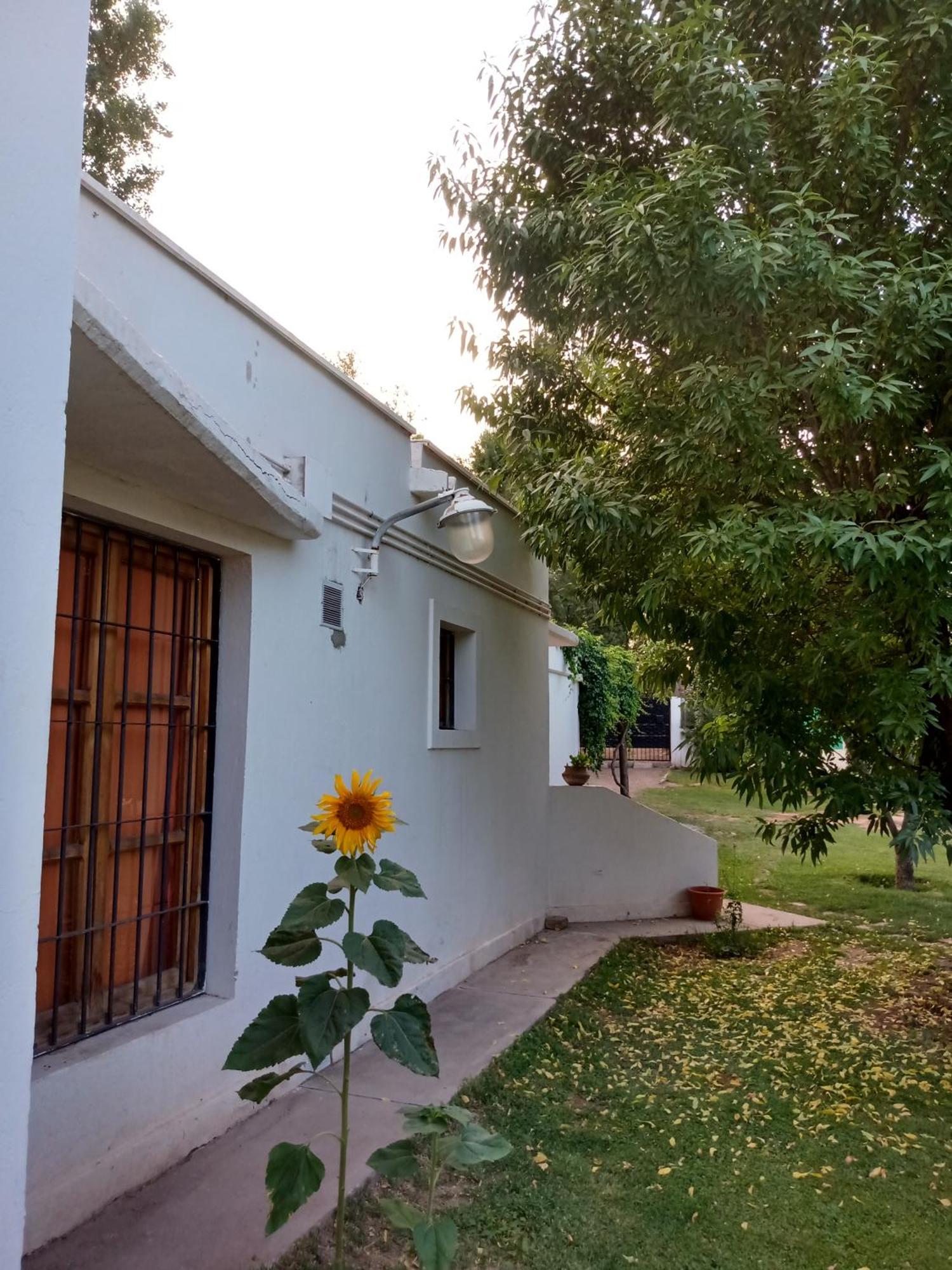 루한데쿠요 Los Siete Chakras B&B 외부 사진